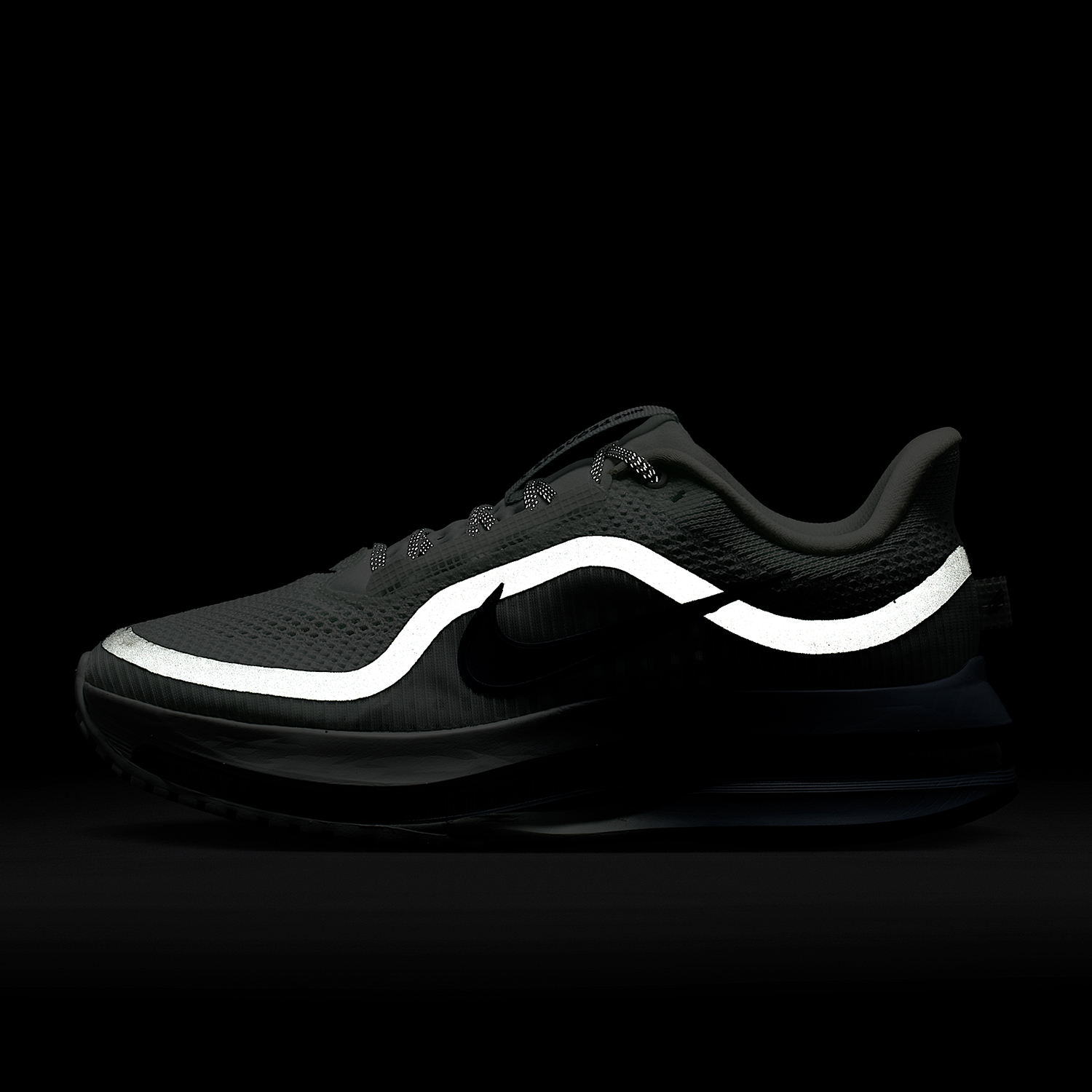 Nike genuine PEGASUS PREMIUM w - огляд і ціна Women Shoes Running Nike