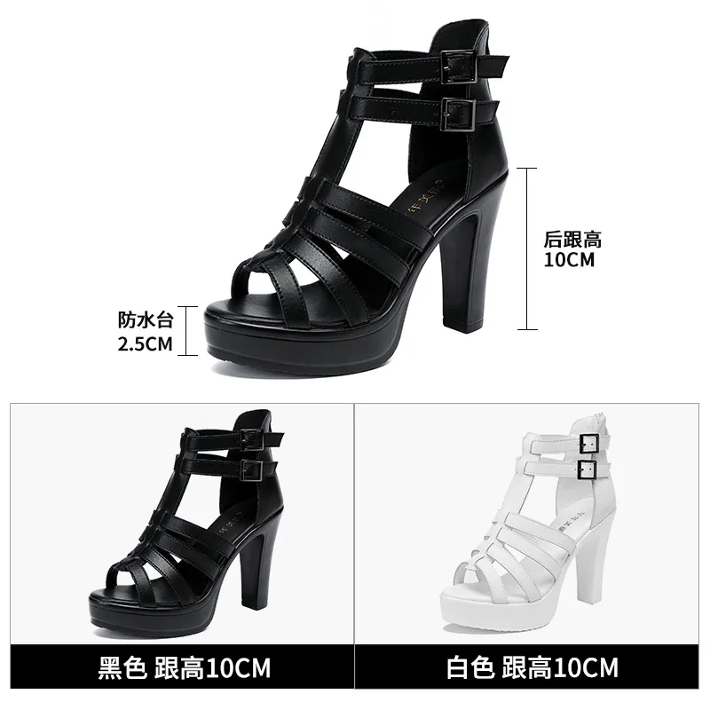 Gladiator Ladies Shoe for Wome - огляд і ціна Women'S Shoes Quality